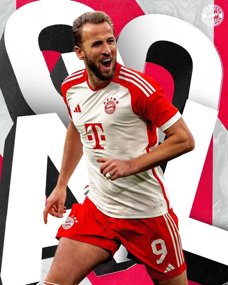 最新世界杯巴西凯恩数据统计全解析